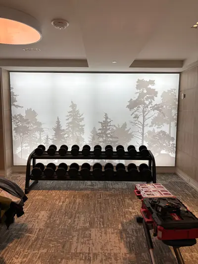 A close-up view of a two-tier dumbbell rack positioned in front of a large backlit frosted forest silhouette lightbox panel.