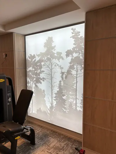 A tall backlit SEG frame panel printed with a misty forest tree silhouette graphic installed on a hotel gym wall.