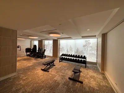 A gym interior showing a dumbbell rack, weight benches, and large backlit frosted tree silhouette panels mounted along the wall.