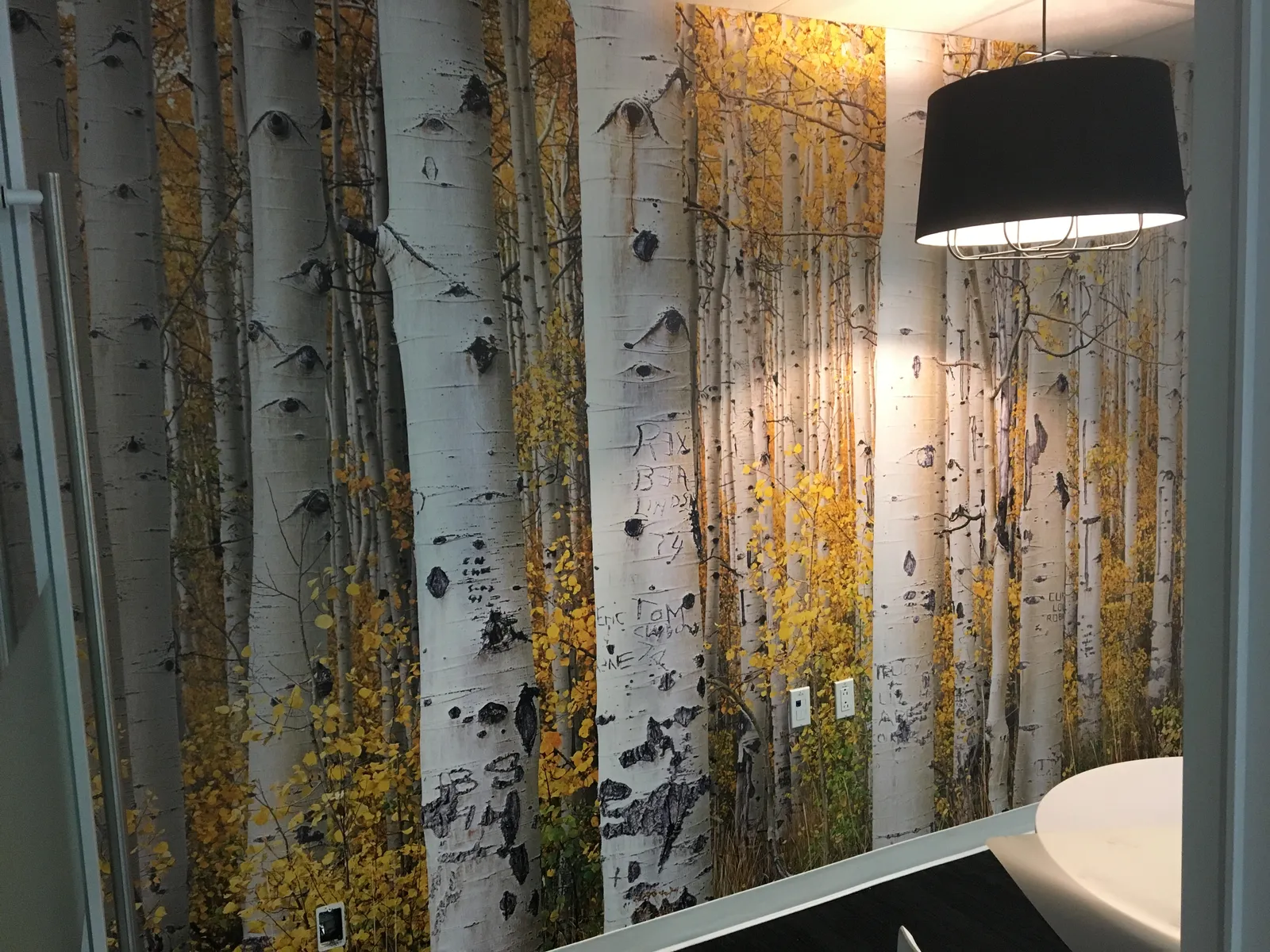 Aviva Wallpaper 3 — interior graphics produced and installed by IAC, Toronto