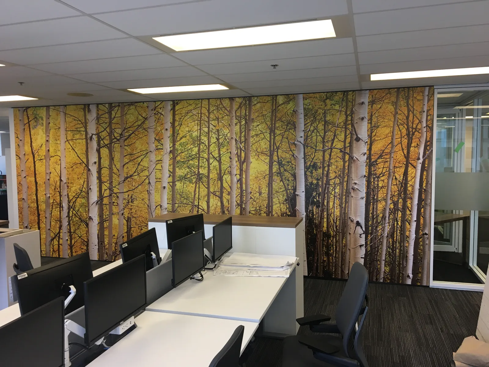 Aviva Rene — interior graphics produced and installed by IAC, Toronto